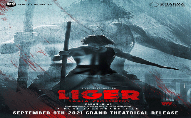 Liger Movie : పూరి – విజయ్ ల “లైగర్” స్ట్రీమింగ్ పార్ట్నర్ ఎవరో కన్ఫర్మ్..మంచి ఫిగర్ నే పట్టారు.!