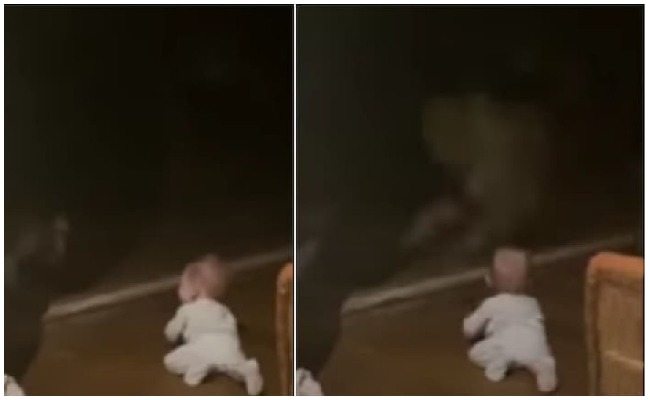 Viral news: ఒక్క క్షణంలో గుండె ఆగినంత పనైంది… పిల్లాడిపైకి దూకిన చిరుత.. వీడియో వైరల్