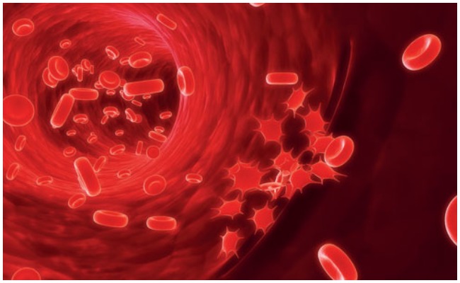 Platelet Count: రక్తంలో ప్లేట్ లెట్ కౌంట్ తగ్గిందా? ప్లేట్ లెట్ కౌంట్ పెంచుకోవటం ఎలా?