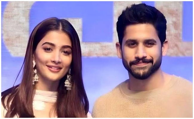 Naga chaitanya: మరోసారి బుట్టబొమ్మతో జతకట్టనున్న నాగచైతన్య..!