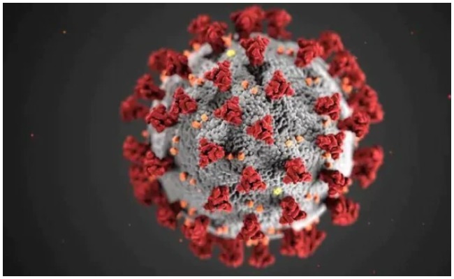 Delta Cran: కొత్తగా వచ్చిన ఈ డెల్టాక్రాన్ గురించి నిజాలు వెల్లడించిన నిపుణులు..!