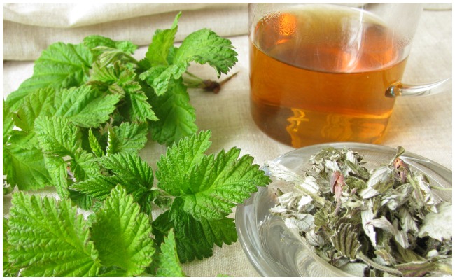 Health Tips: రేగిపళ్ల ఆకులతో అధికబరువు సమస్యకు చెక్.. ఎలాగో తెలుసా?