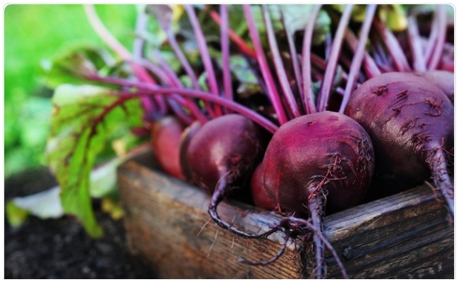 Beet Root: షుగర్ పేషెంట్స్ బీట్ రూట్ తినవచ్చా….తింటే ఏమవుతుంది?