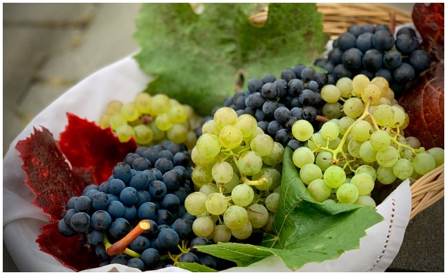 రోజుకు ఎన్ని ద్రాక్ష పండ్లను తింటే మన ఆరోగ్యానికి మంచిదో తెలుసా.?