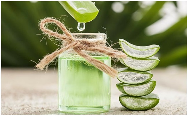 Alovera Benifits: వారంలో రెండుసార్లు ఈ ఆయిల్ రాస్తే చాలు.. మీ జుట్టు సమస్యలన్నీ మాయం..!