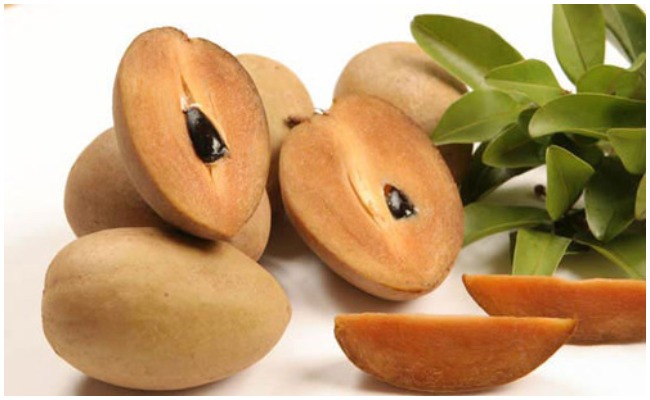 సపోటా పండ్లను మన రోజువారి ఆహారంలో తీసుకోవచ్చా? ఎక్కువగా తింటే ఏం జరుగుతుంది?