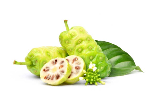 Health Tips: అత్యధిక పోషకాలు కలిగిన నోని పండు.. దీని కలిగే ప్రయోజనాల గురించి తెలిస్తే ఆశ్చర్యపోతారు..!