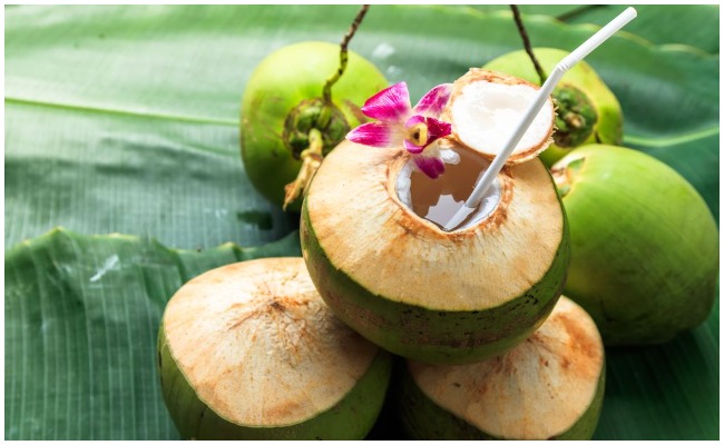 కొబ్బరి నీళ్లు ఆరోగ్యానికి మంచివే…. మరి చలికాలంలో తాగితే ఏమవుతుందో తెలుసా?