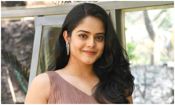 Riddi Kumar: ఆ ముగ్గురు హీరోలతో నటించాలని ఉంది: నటి రిద్ది కుమార్