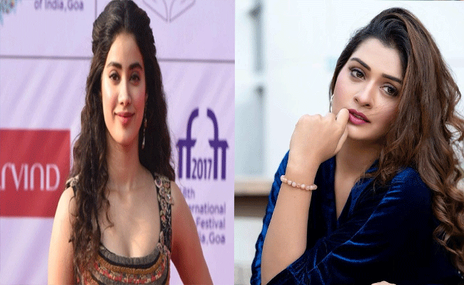 Payal Rajput and Janhvi Kapoor : పాయల్ రాజ్‌పుత్‌కీ, జాన్వీ కపూర్‌కీ ఓ కామన్ పాయింట్ వుంది.. అదేంటో తెలుసా.?