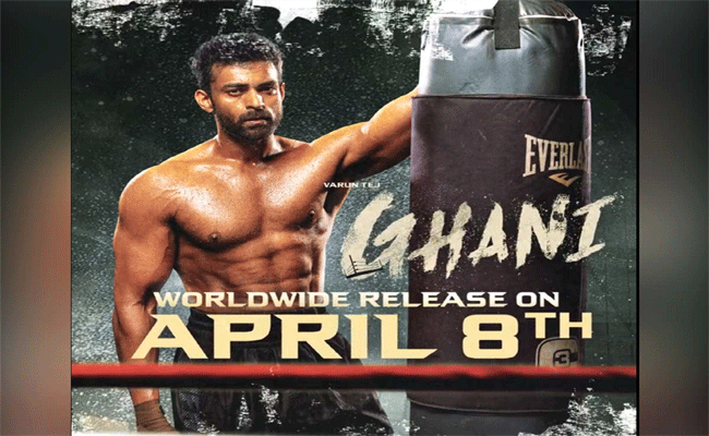 Varun Tej’s Ghani : ఇండస్ట్రీలో భారీ డిజాస్టర్ గా “గని”.. ఎన్ని కోట్లు నష్టం అంటే.!