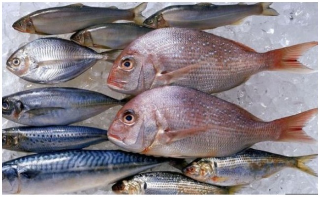 చేపలు తినటం వల్ల కలిగే  ప్రయోజనాలు.. తెలిస్తే తప్పకుండా తింటారు..!