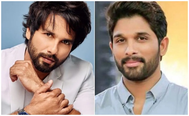 Shahid Kapoor : బన్నీతో సినిమా చేయాలనీ ఉందన్న బాలీవుడ్ హీరో.. మనసులోని మాటచెప్పిన జెర్సీ హీరో…!