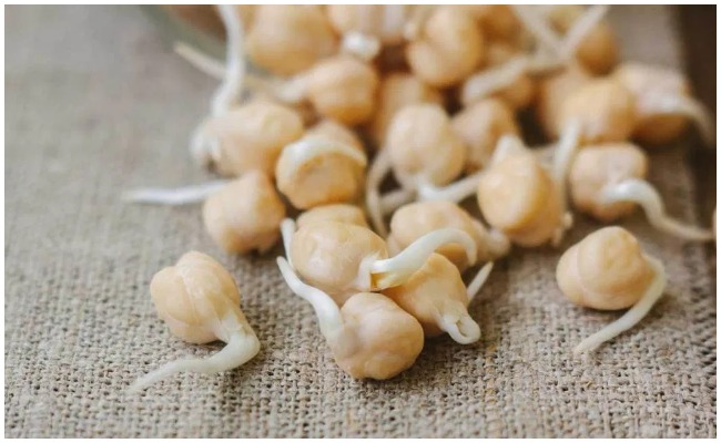 క్యాన్సర్ ముప్పు నుంచి బయట పడాలంటే ప్రతిరోజు ఈ మొలకలు తినాల్సిందే?