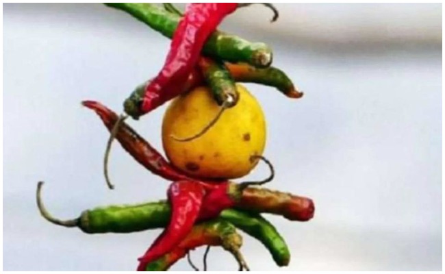 Vastu Tips: చేపట్టిన పనులలో ఆటంకాలు ఏర్పడుతున్నాయా.. ఎండు మిర్చితో ఈ పరిహారం చేయండి!
