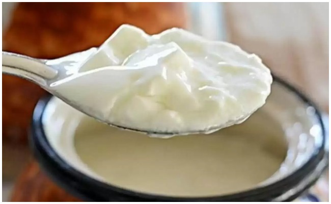 పెరుగును రోజువారి ఆహారంలో తీసుకున్నప్పుడు ఈ విషయాలను తప్పకుండా గుర్తించుకోవాలి?