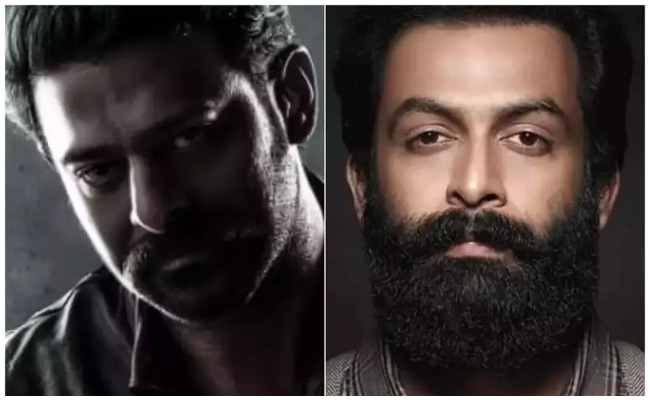 Prabhas :  సలార్ కోసం ఆ మలయాళం హీరోనే కావాలంటున్న డార్లింగ్.. నేరుగా రంగంలోకి దిగిన ప్రభాస్…!