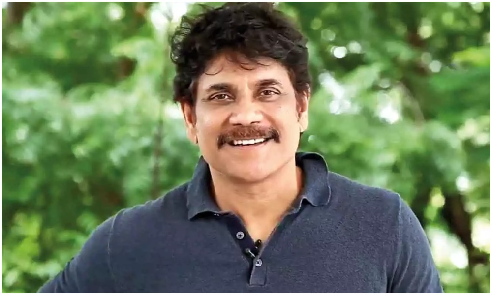 బిగ్ న్యూస్ : పాలిటిక్స్ లోకి హీరో నాగార్జున? అప్పుడే టికెట్ కూడా రెడీ..?