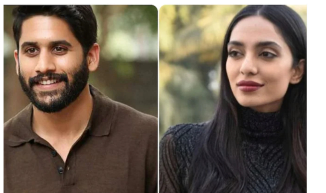 నాగచైతన్య హీరోయిన్ తో డేటింగ్ చేస్తే తప్పేముంది.. డైరెక్టర్ షాకింగ్ కామెంట్స్?