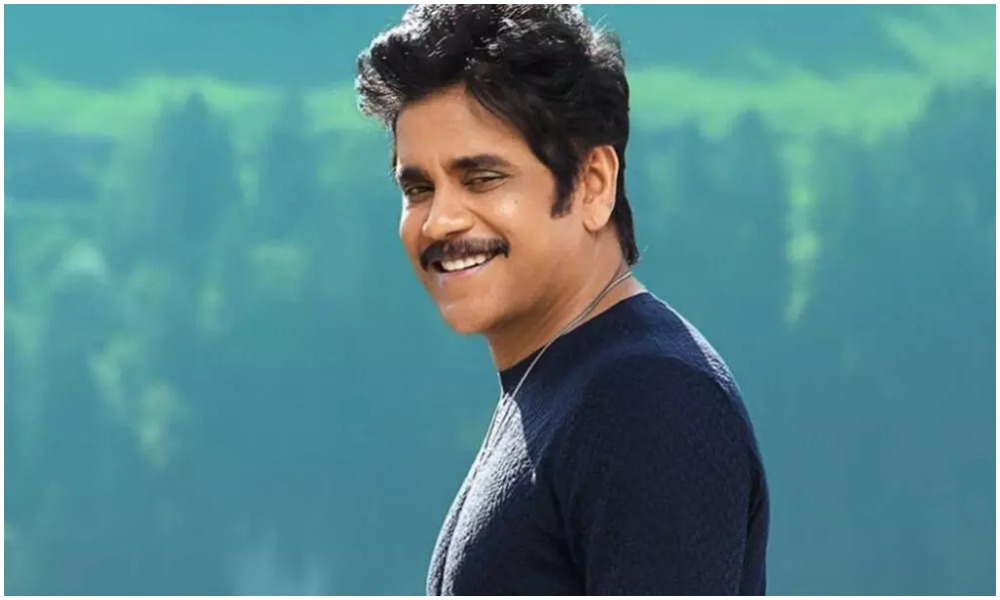 9 కోట్ల బడ్జెట్ తో తెరకెక్కి 50 కోట్ల షేర్ సాధించిన నాగార్జున మూవీ ఏదో తెలుసా?