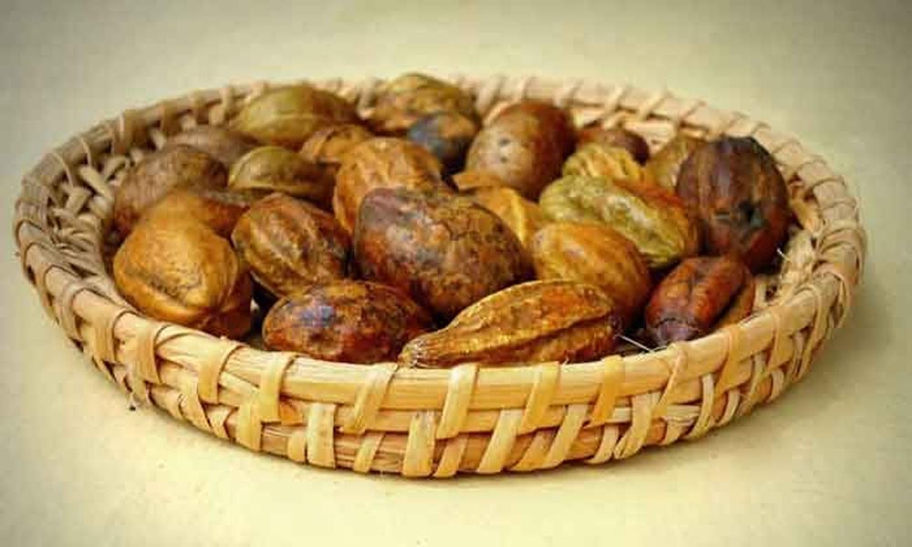 ఈ ఒక్క కాయ తింటే చాలు మీ శరీరానికి అవసరమైన వ్యాది నిరోధకశక్తి మీ సొంతం ?