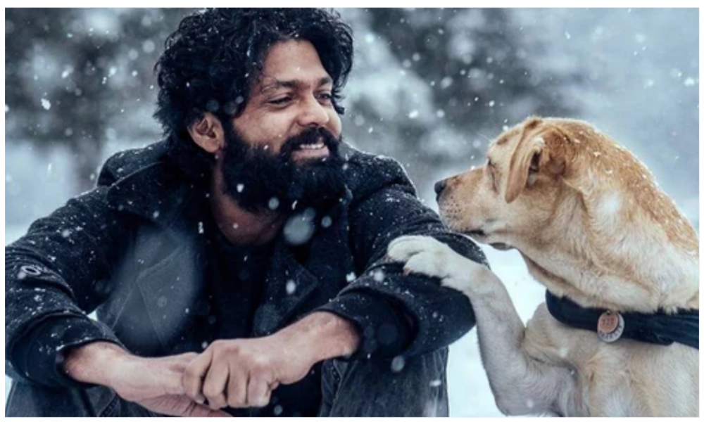 సినిమా నిర్మాణ సంస్థలకు ఆదర్శంగా నిలుస్తున్న రక్షిత్ శెట్టి.. ఎందుకో తెలుసా..?