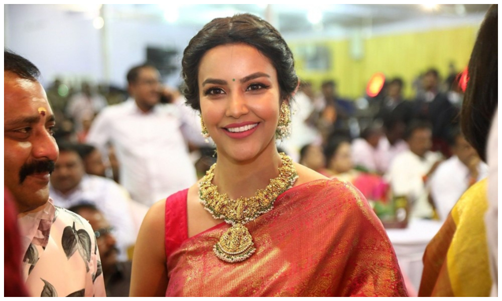 టాలీవుడ్ ఇండస్ట్రీకి రీ ఎంట్రీ ఇస్తున్న ప్రియా ఆనంద్..