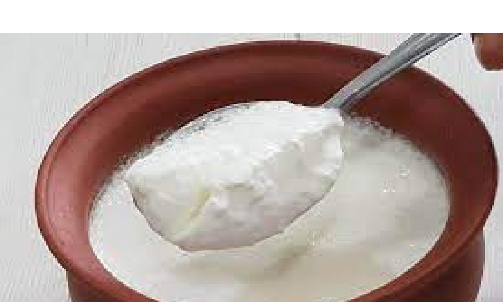 అధిక బరువుతో బాధపడేవారు మూడుపూటల పెరుగు తింటున్నారా..ఇది మీకోసమే?