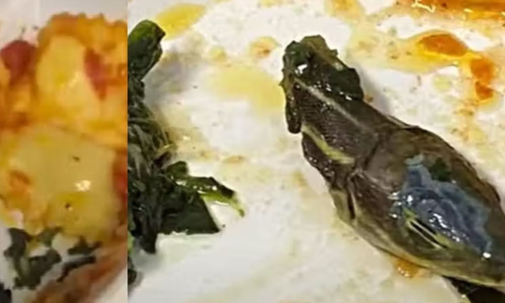 ఆహారంలో పాము తల.. వైరల్ అవుతున్న వీడియో!