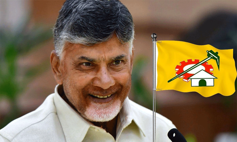 ఈ వ్యూహాలతో టీడీపీ బలోపేతమవుతుందా.?