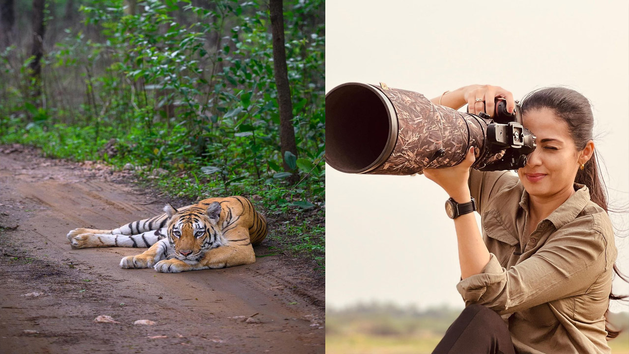 భయంకరమైన జంతువుల మధ్య అందాల నటి సదా.. !