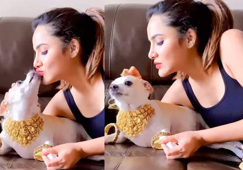 వామ్మో ఆశు రెడ్డికి పిచ్చి బాగా ముదిరిందే.. ఏకంగా ముద్దులు పెడుతూ రెచ్చిపోయిన అశు!