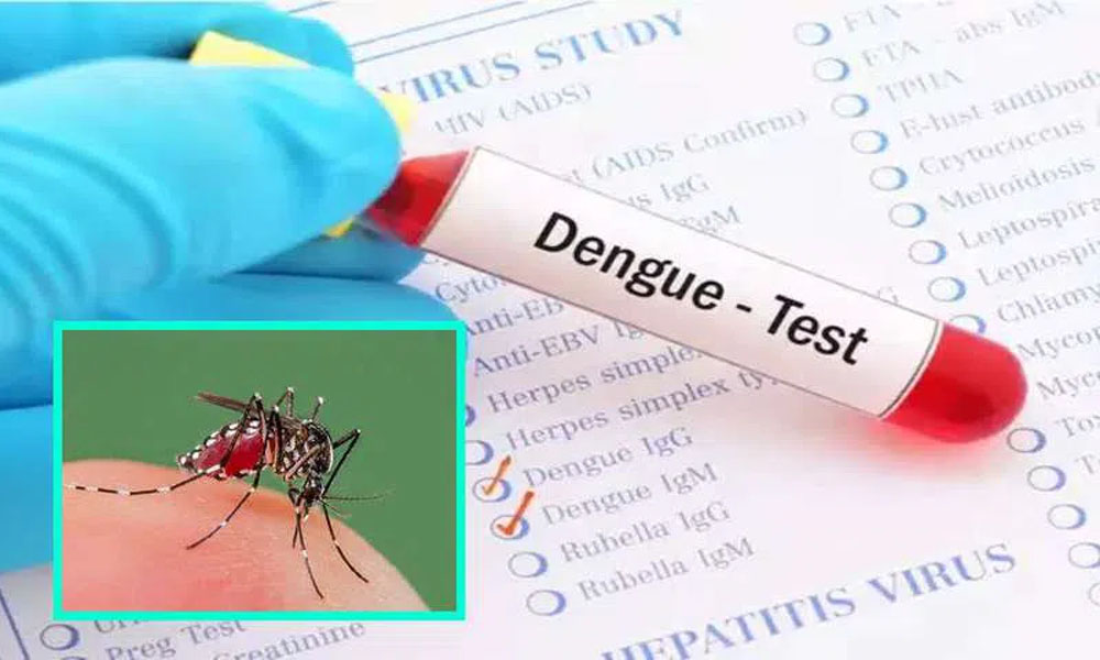 డెంగ్యూ జ్వరం నుండి బయట పడాలంటే ఈ జాగ్రత్తలు తప్పనిసరి?
