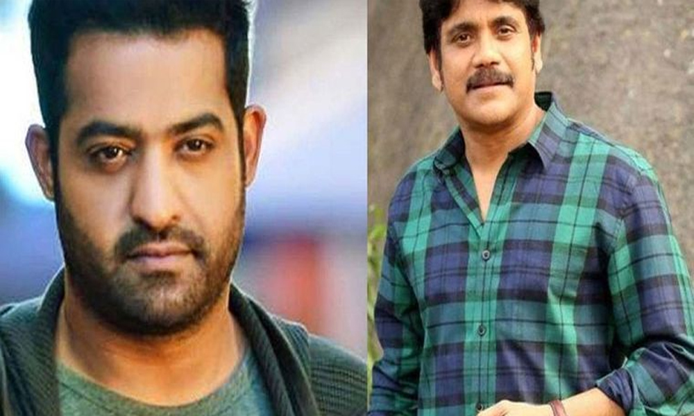 ఆ రోజు కోసం ఎదురుచూస్తున్న.. ప్రేమతో ఎన్టీఆర్ కి స్వాగతం పలికిన టాలీవుడ్ కింగ్?