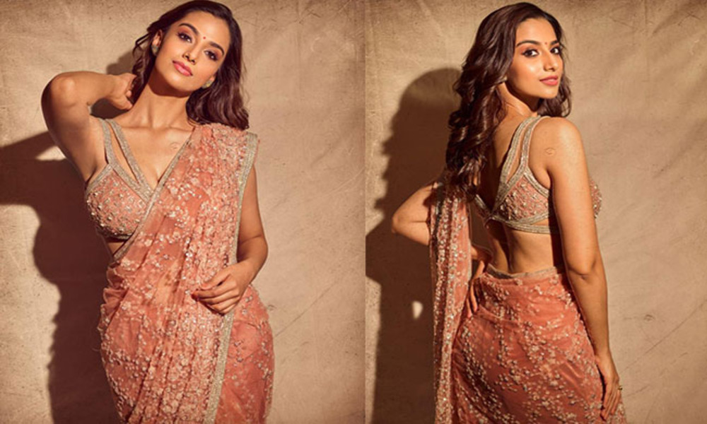 టాలీవుడ్ లో న్యూ ప్రామిసింగ్ గ్లామరస్ హీరోయిన్ గా మారుతున్న మీనాక్షి చౌదరి