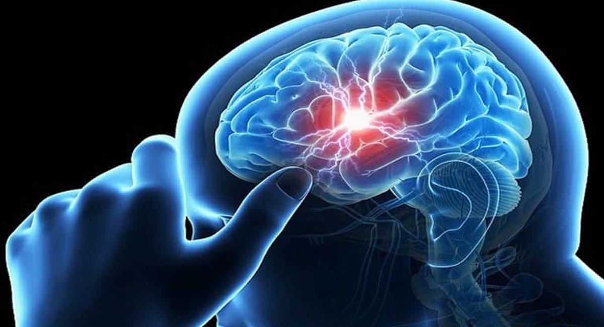 చురుకైన మెదడు కోసం తీసుకోవాల్సిన ఆహార పదార్థాలు ఏంటో తెలుసా?