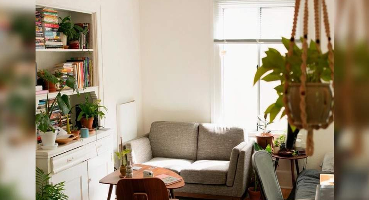 ఇంట్లో నెగిటివ్ ఎనర్జీ పోవాలంటే ఏమి ఉండాలో తెలుసా?