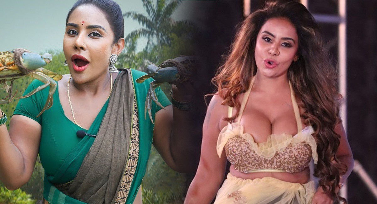 సోషల్ మీడియా ద్వారా నటి శ్రీ రెడ్డీ నెల సంపాదన ఎంతో తెలుసా…?