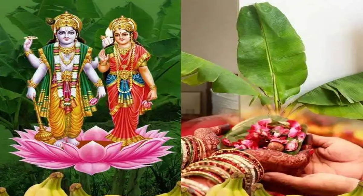 అరటి మొక్క ఇంట్లో ఉండటం వల్ల కలిగే ప్రయోజనాలు ఏమిటో తెలుసా?