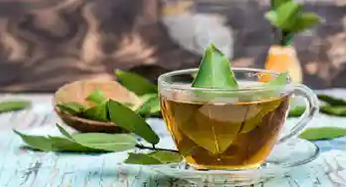 బిర్యానీ ఆకుల టీ వల్ల భయంకరమైన వ్యాధులకు చెక్ పెట్టవచ్చనీ మీకు తెలుసా?