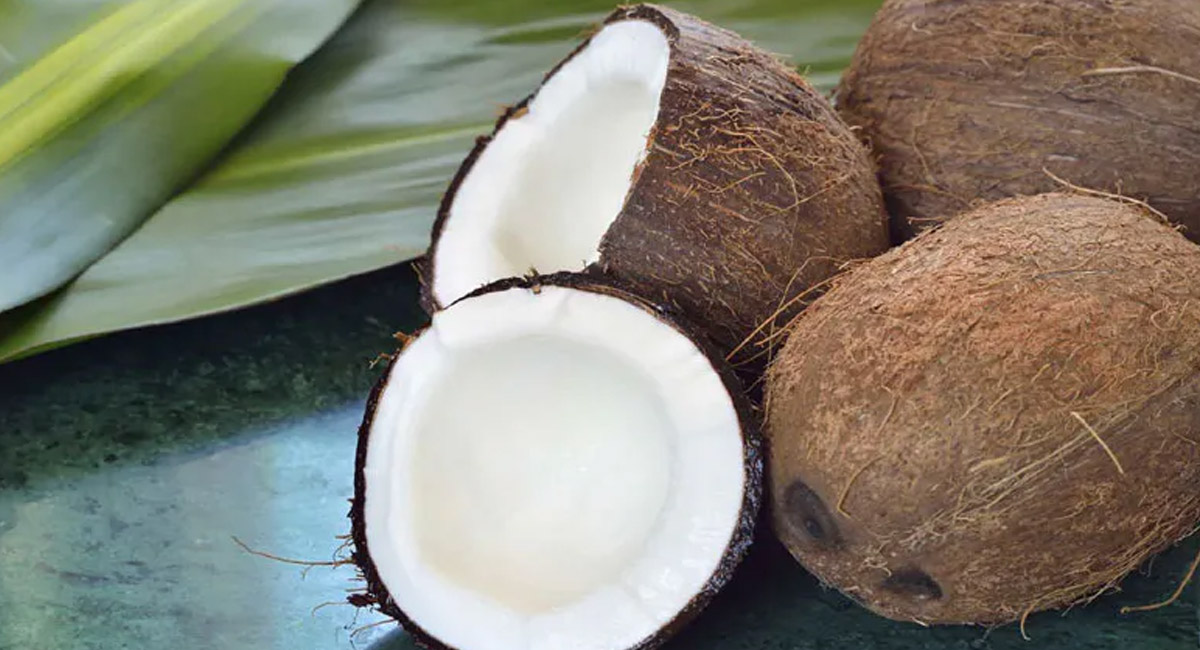 పచ్చి కొబ్బరిని తరచూ ఆహారంలో తీసుకుంటే… ఏం జరుగుతుందో తెలుసా?