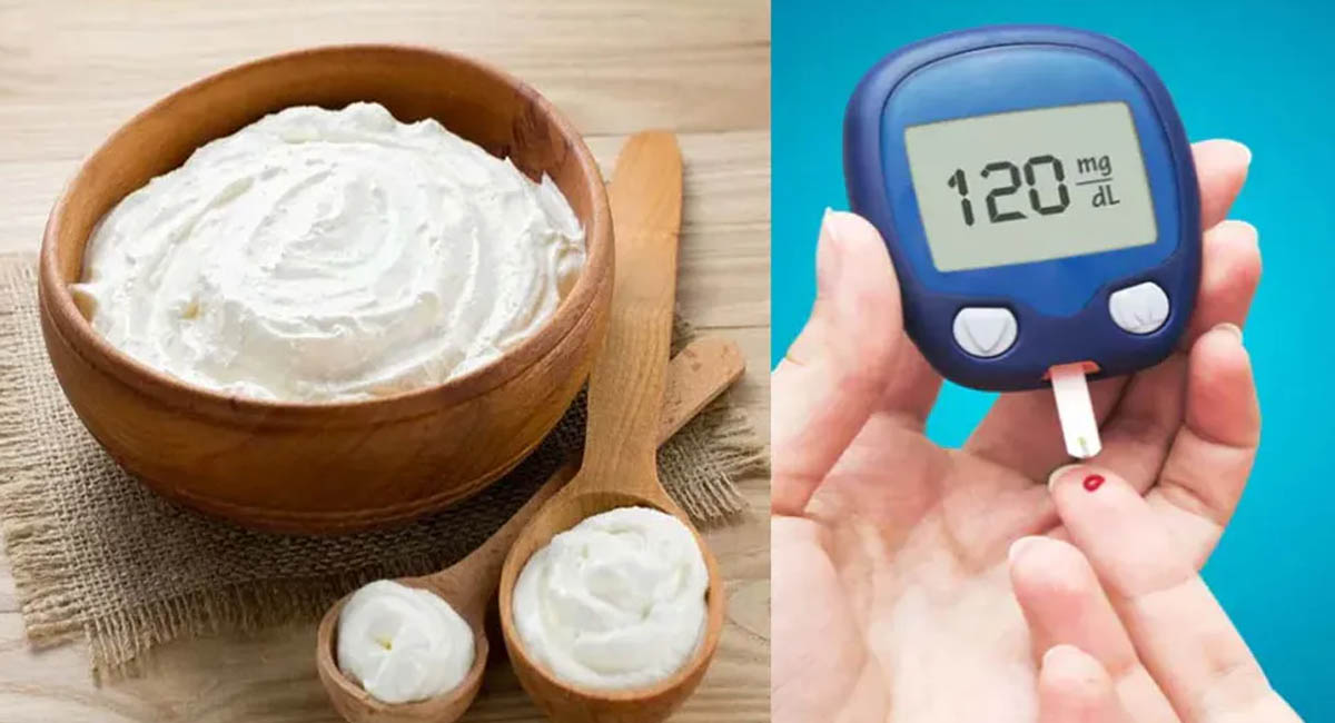 పెరుగును ఈ విధంగా తింటే షుగర్ వ్యాధి వస్తుందా?  వైద్యులు ఏమంటున్నారంటే?