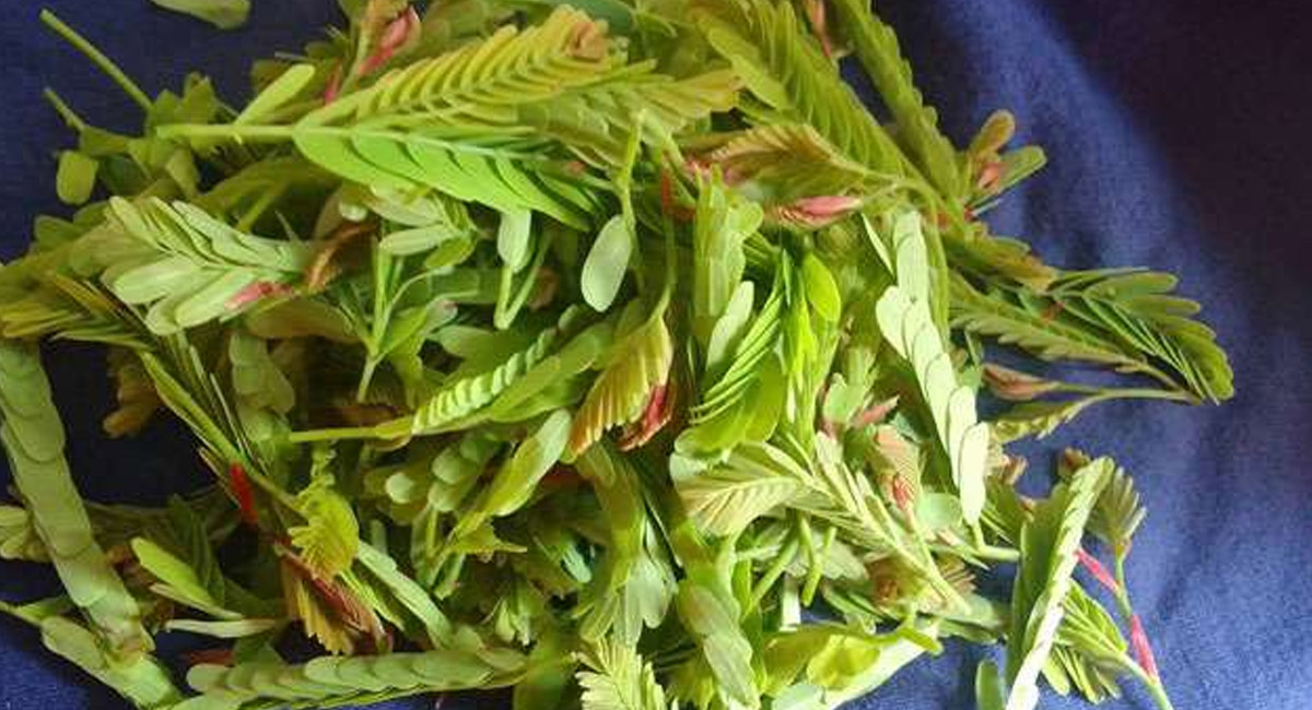 చింత చిగురులో ఉన్న ఈ ఆరోగ్య ప్రయోజనాలు తెలిస్తే… ఆశ్చర్య పోవాల్సిందే?