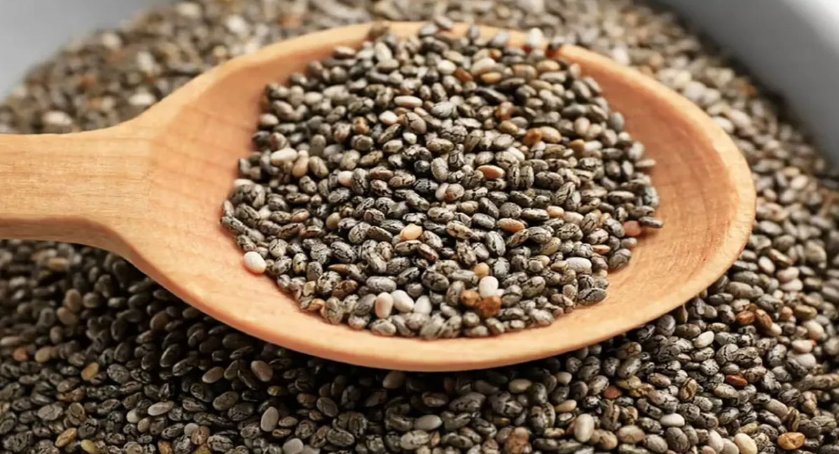 ప్రోటీన్స్ అధికంగా ఉండే చియా విత్తనాలను ఆహారంగా తీసుకుంటే ఏం జరుగుతుందో తెలుసా?