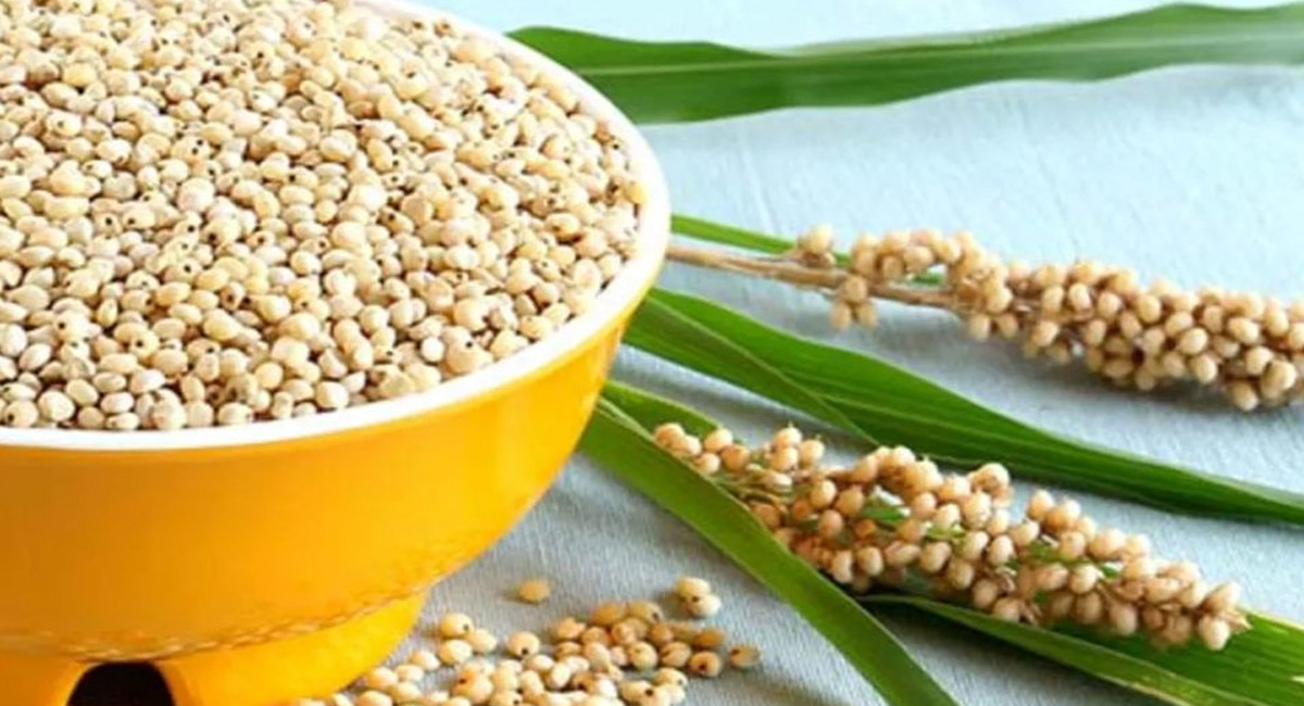 సంపూర్ణ ఆరోగ్యం పొందాలంటే.. ప్రతి రోజూ  ఆహారంలో ఇవి తప్పనిసరి?