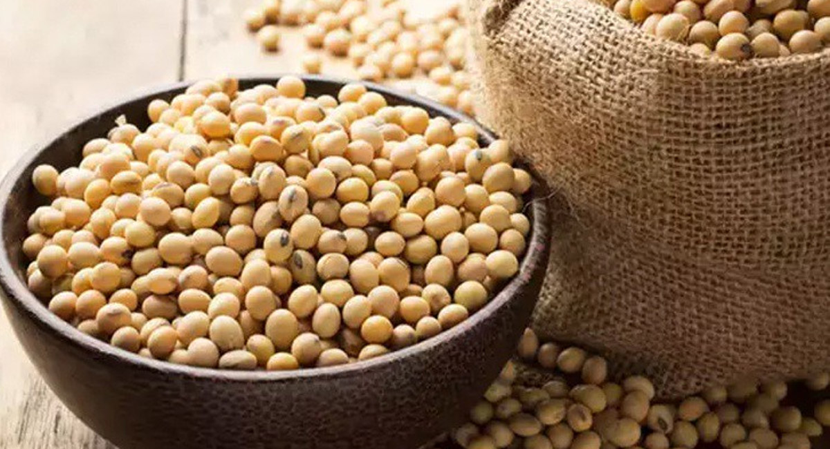 సోయాబీన్స్ ఆరోగ్యానికి మంచిదే కానీ…ఈ వ్యాధితో బాధపడేవారు జాగ్రత్తగా ఉండాలి?