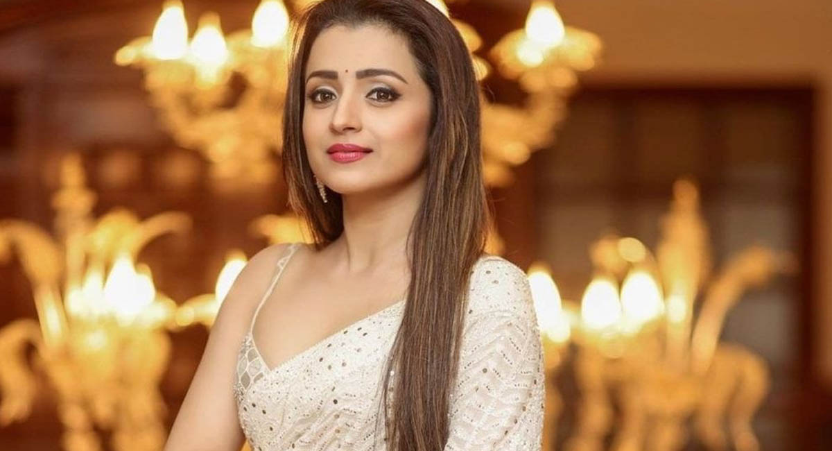 పెళ్లి చేసుకుని విడాకులతో విడిపోవడం ఇష్టం లేదు.. పెళ్లి గురించి షాకింగ్ కామెంట్స్ చేసిన త్రిష?