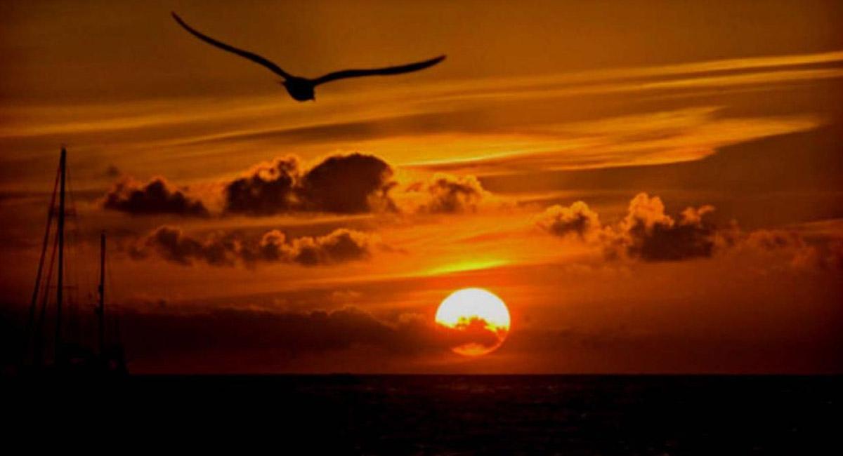 ఉదయం లేవగానే ఈ చిన్న పనులు చేస్తే చాలు… ఇక డబ్బే డబ్బు?