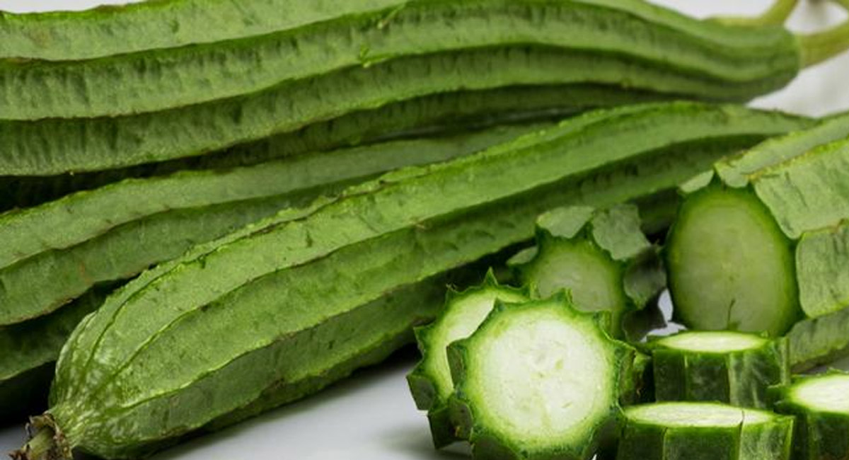 బీరకాయను తరచూ మన ఆహారంలో ఎందుకు తీసుకోవాలో తెలుసా?