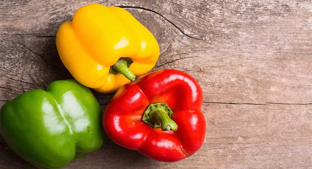 క్యాప్సికంను ఎక్కువగా తింటే జీర్ణ సంబంధిత సమస్యలు తలెత్తుతాయా…?